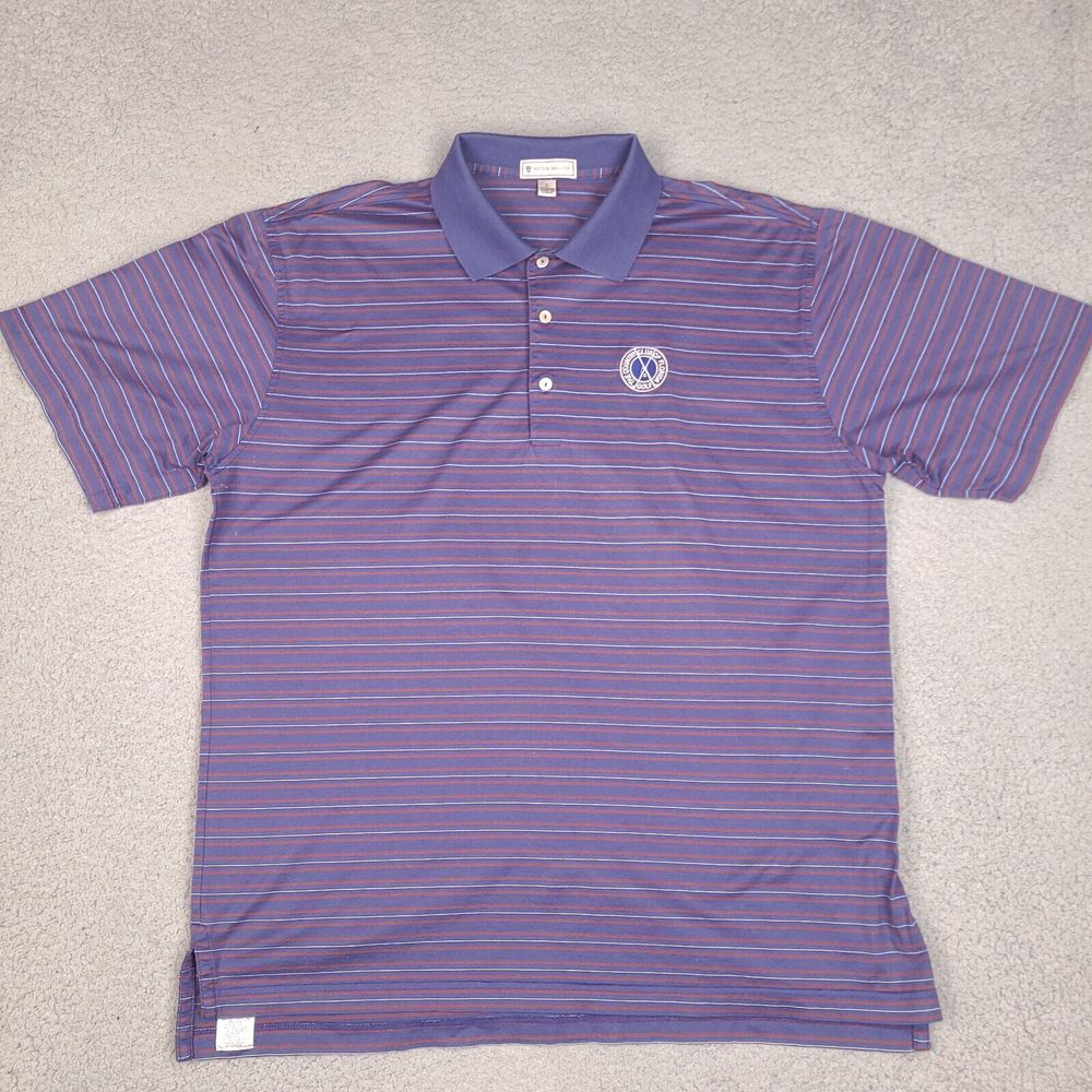 Peter Millar Polo Shirt Mens Large Blue Striped Golf‎ Country Club Of Florida